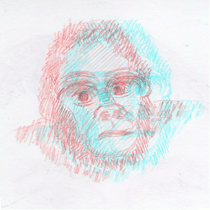 Gorille 3D